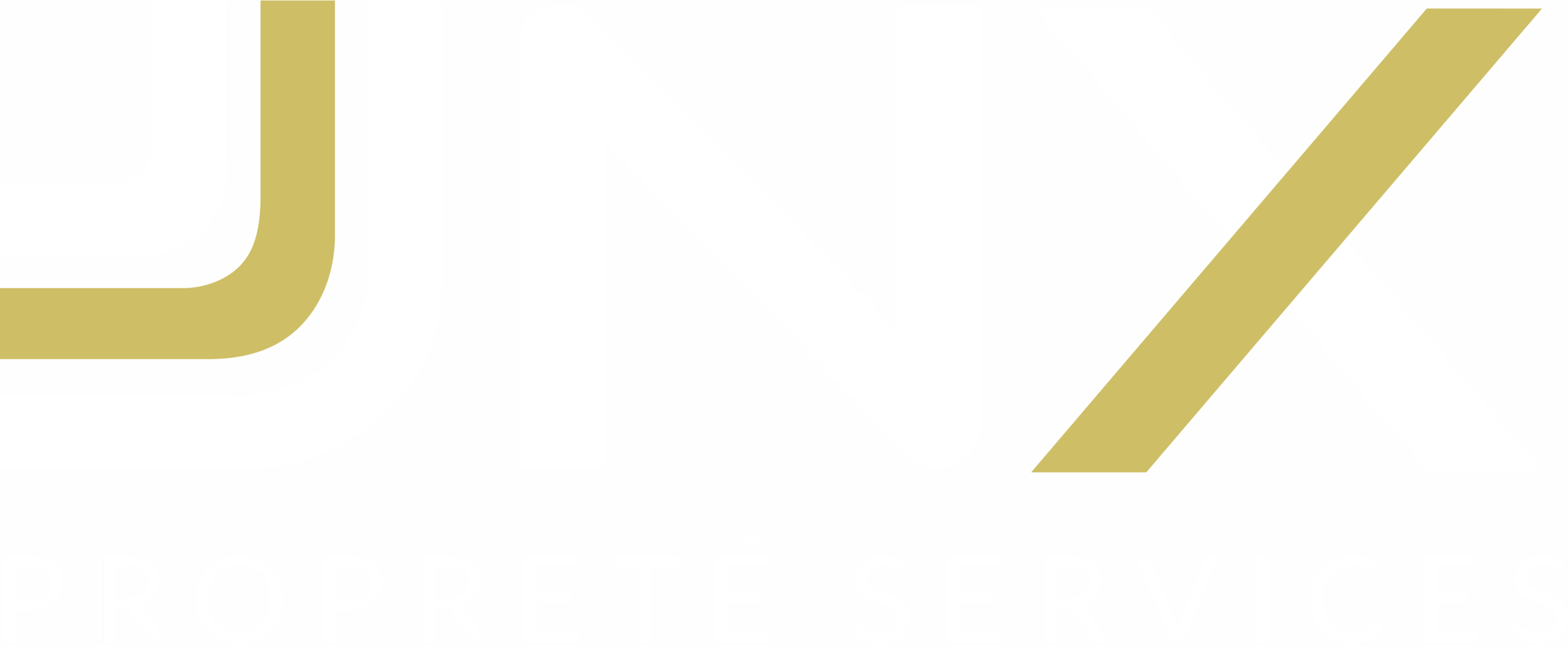 JNX Propreté Services